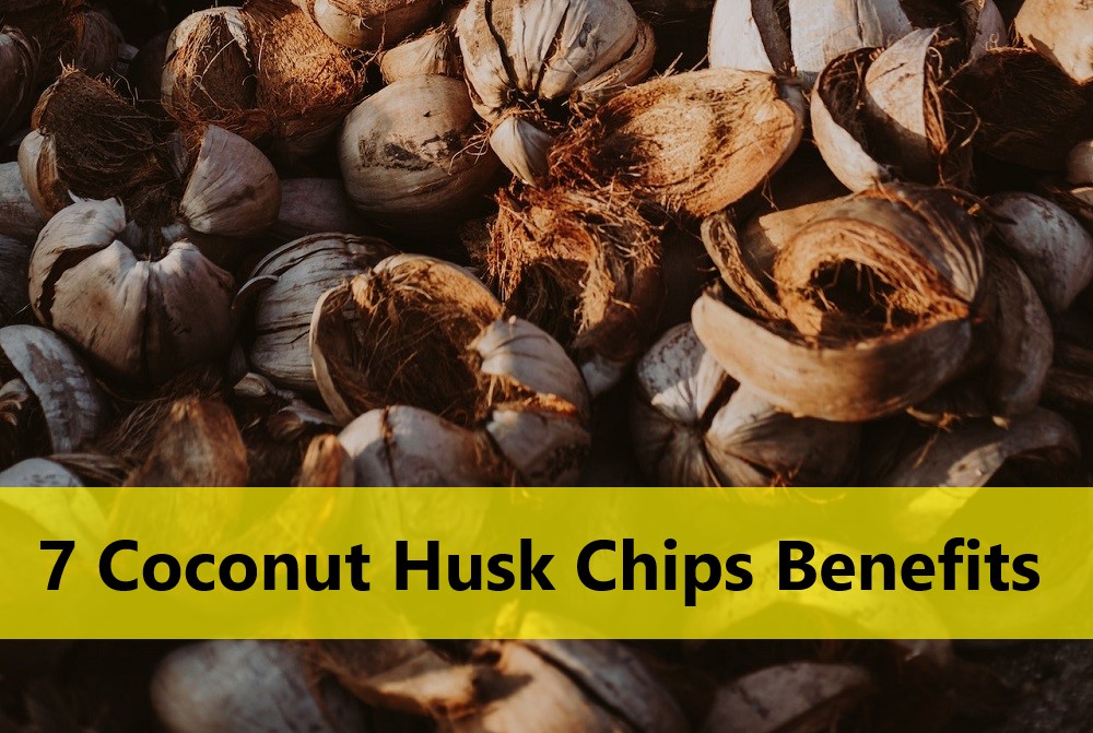 Coconut-Husk-Chips-Benefits.jpg