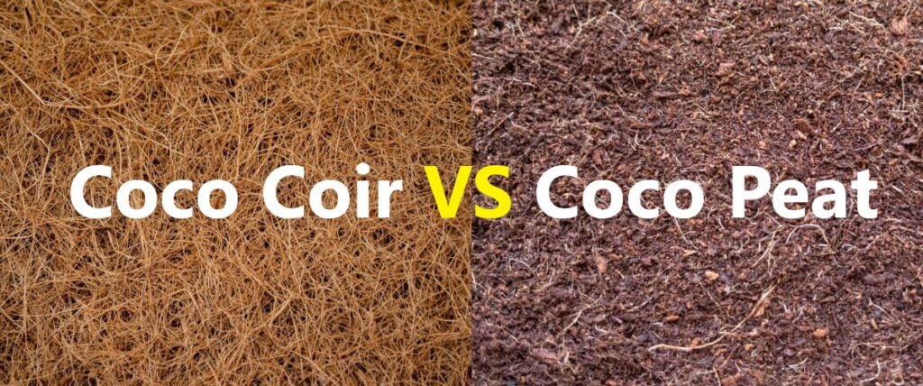 Coco Peat Vs Coco Coir