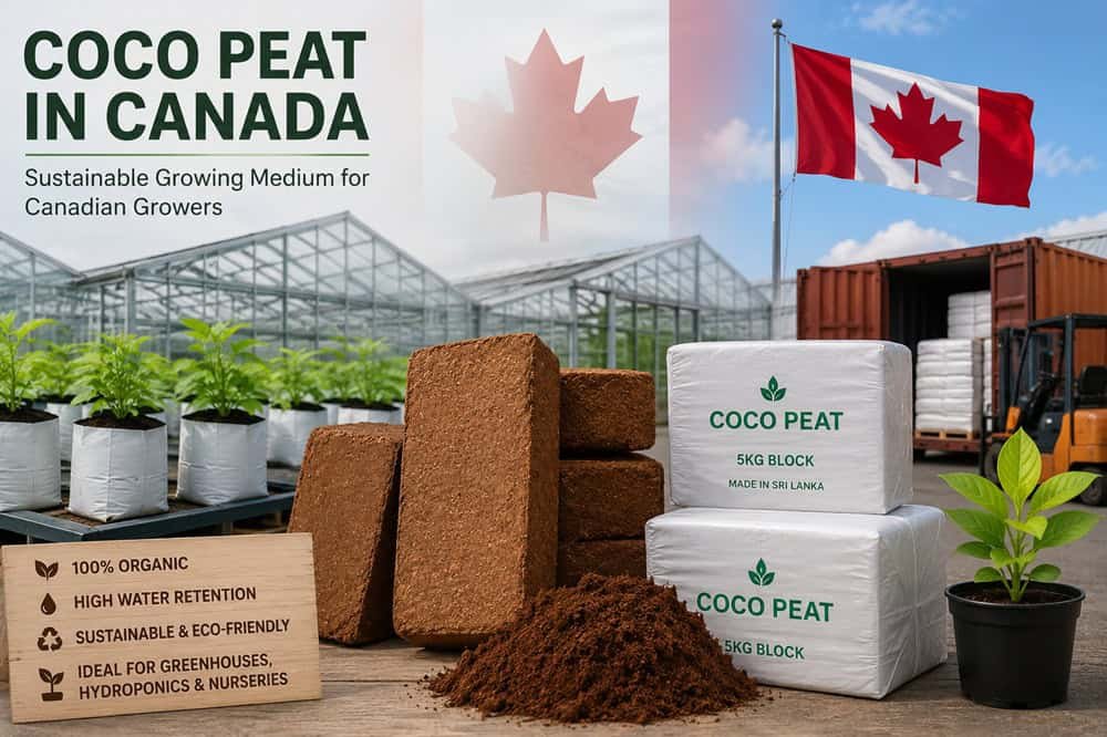 Coco-Peat-Suppliers-in-Canada.jpg